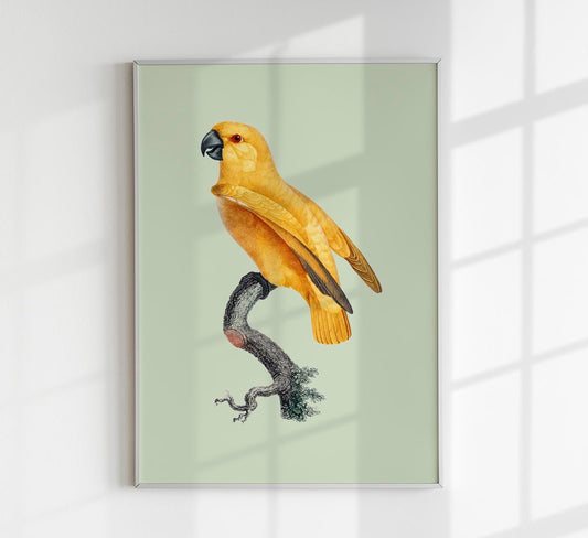 Yellow Parrot Green Poster