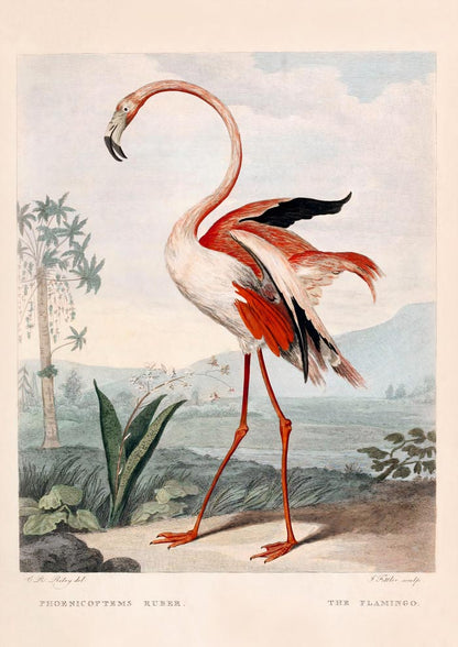 Pink Flamingo Vintage Poster