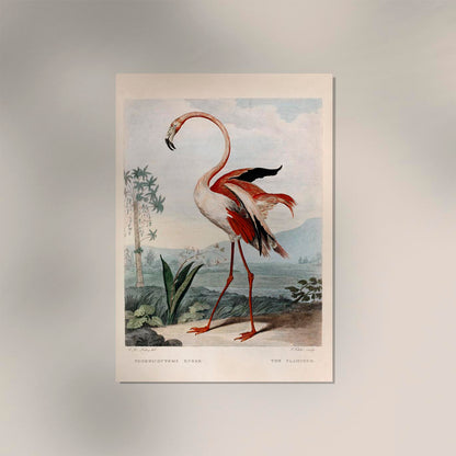 Pink Flamingo Vintage Poster