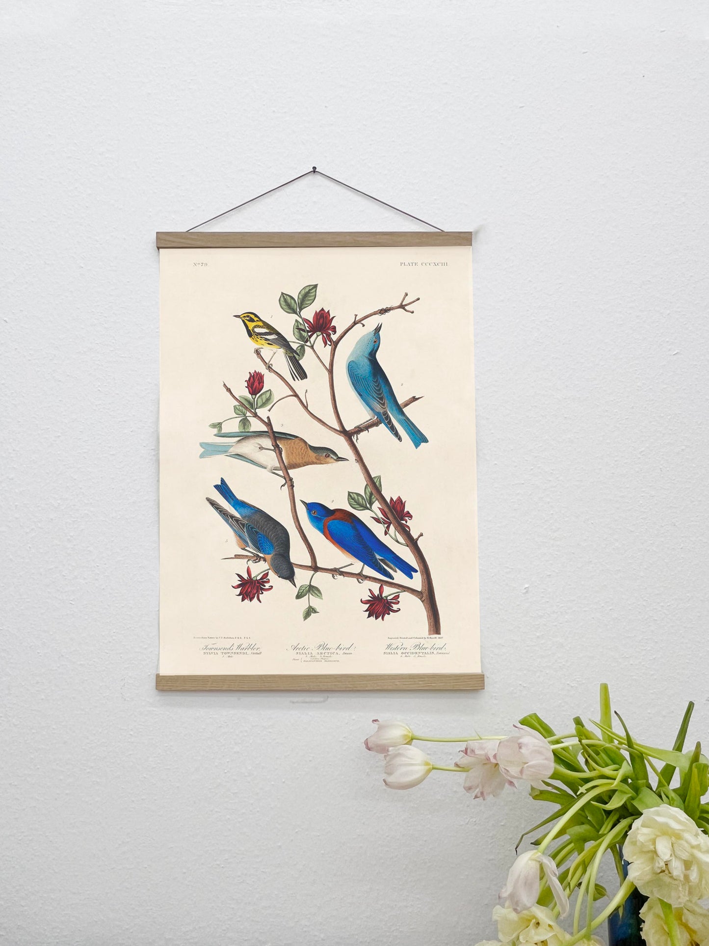 SALE: Blue Birds Canvas Print Set