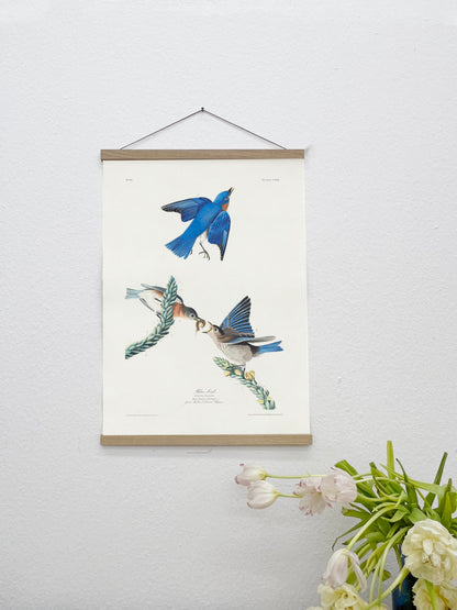 SALE: Blue Birds Canvas Print Set