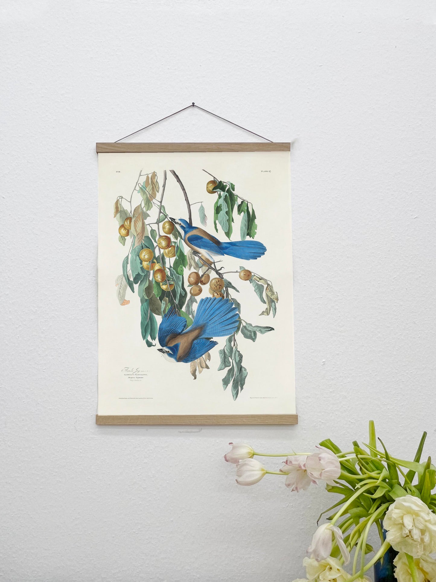 SALE: Blue Birds Canvas Print Set