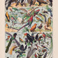 Larousse Bird Collection I Poster