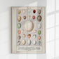 Eggs Collection III Poster