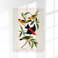 Louisiana Tanager & Scarlet Tanager from Birds of America Poster