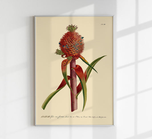 Red Ananas Poster