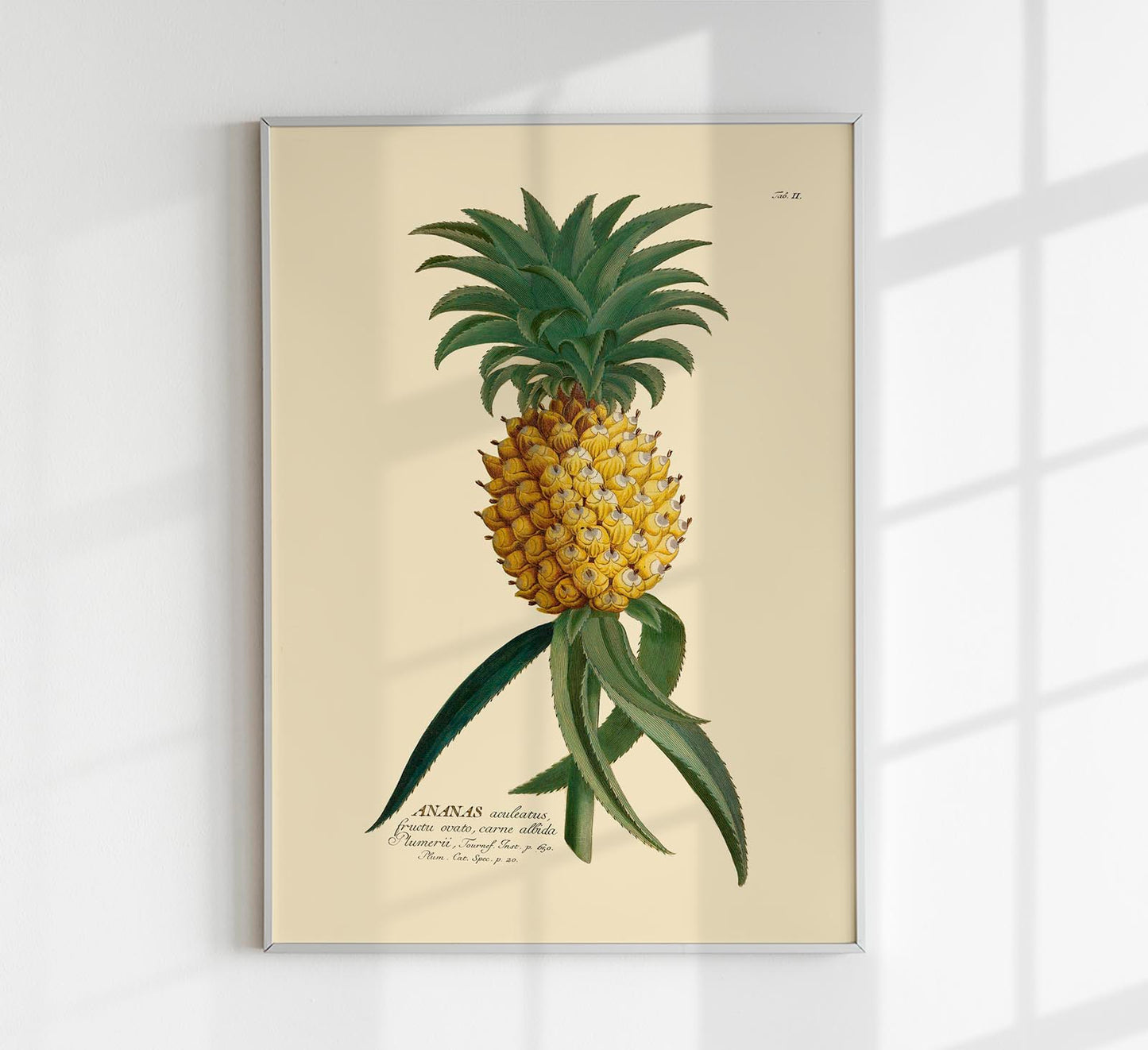 Ananas Art Poster