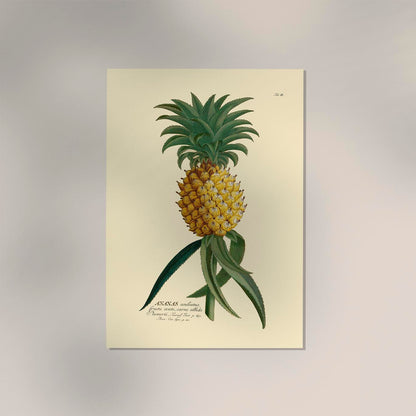 Ananas Art Poster