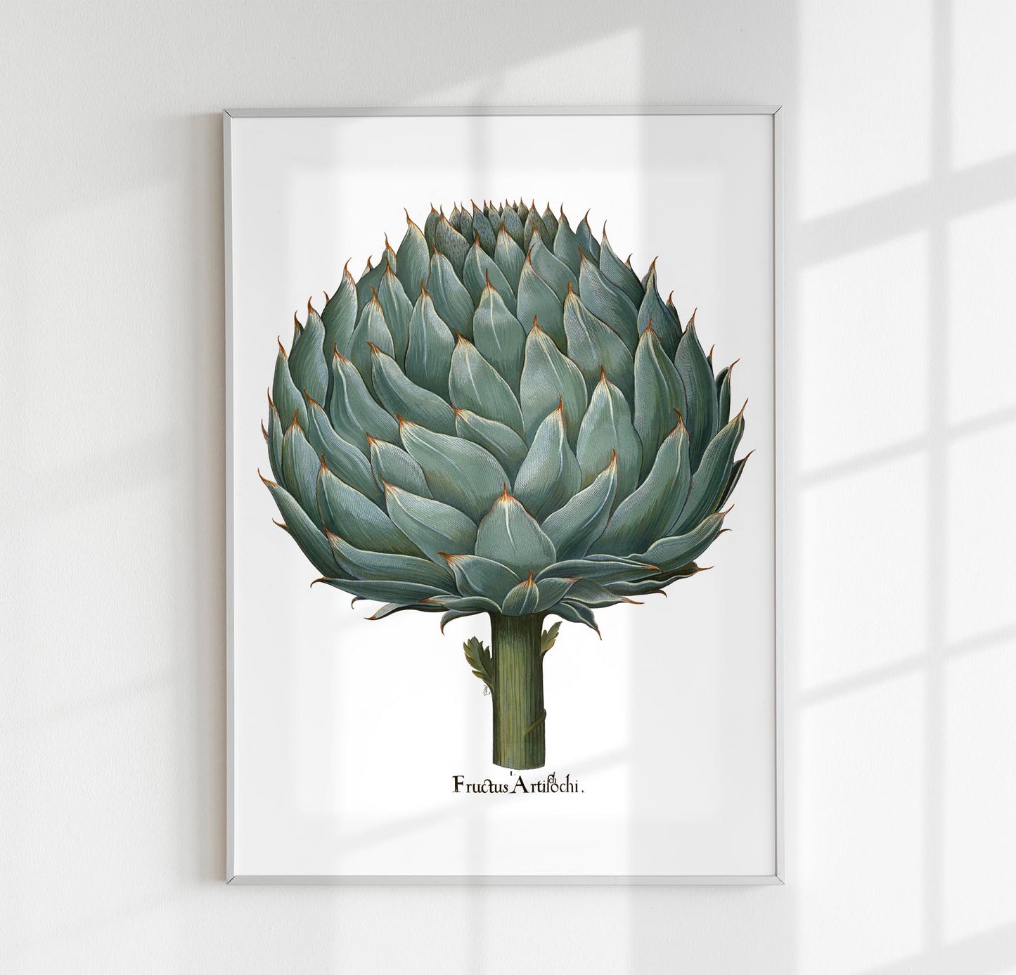 Artichoke White Poster