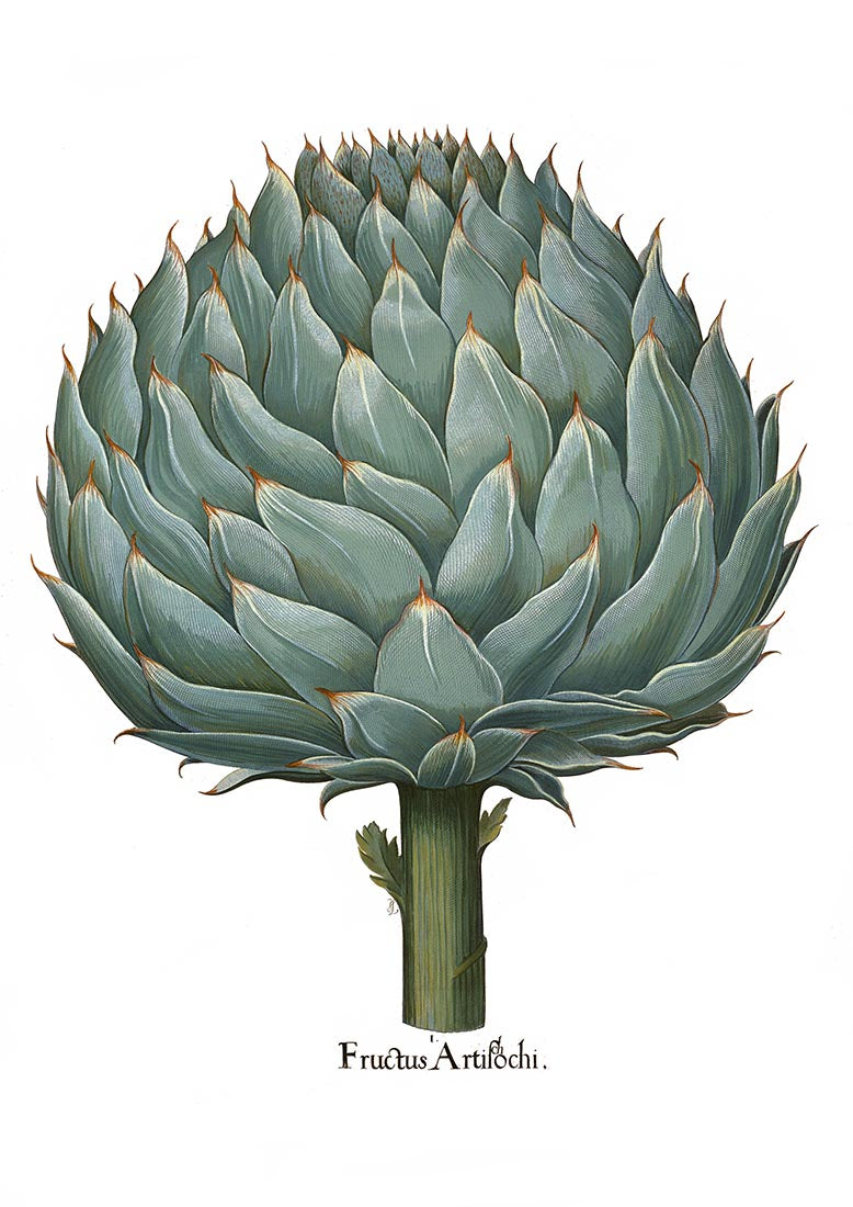 Artichoke White Poster