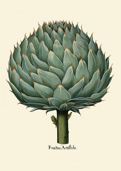 Artichoke Beige Poster