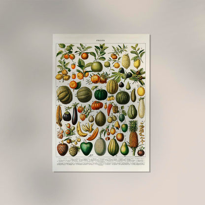 Fruits And Legumes Antique Chart by Adolphe Millot Poster