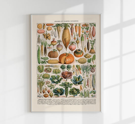 Légumes et Plantes Potagères Poster