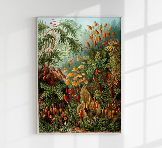 Mushroom Forest Botanical by Ernst Haeckel Poster