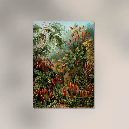 Mushroom Forest Botanical by Ernst Haeckel Poster