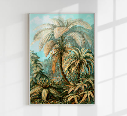 Palm Tree by Ernst Haeckel Poster