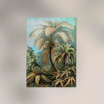 Palm Tree by Ernst Haeckel Poster