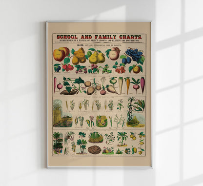 Botanical School and Family Chart