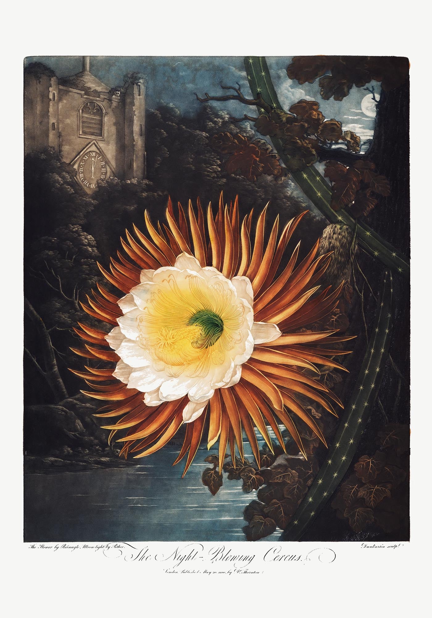 Flower Print Night-Blowing Cereus Temple of Flora