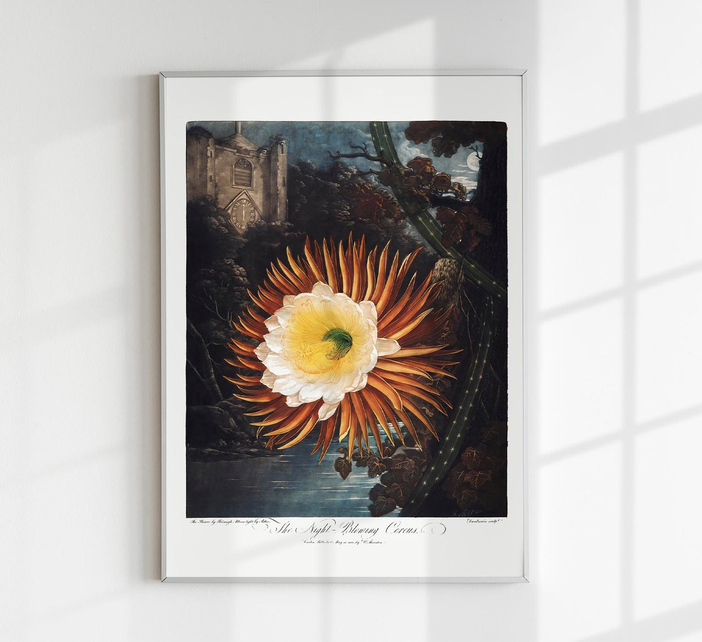 Flower Print Night-Blowing Cereus Temple of Flora