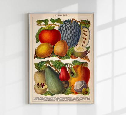 Tropical Fruits Botanical Poster