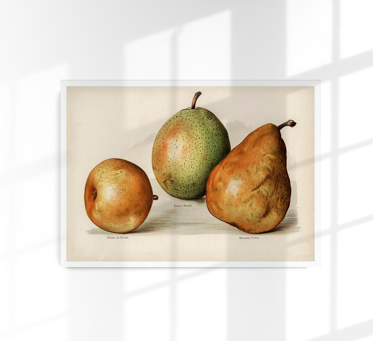 Olivier Easter Nouvelle Pears Fruit Poster