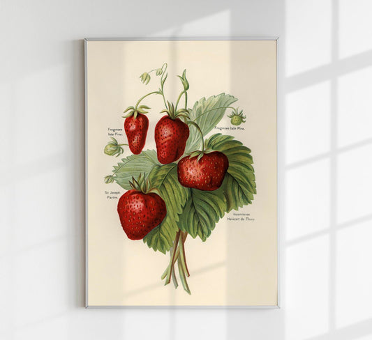 Frogmore Vicomtesse Strawberries Fruit Poster