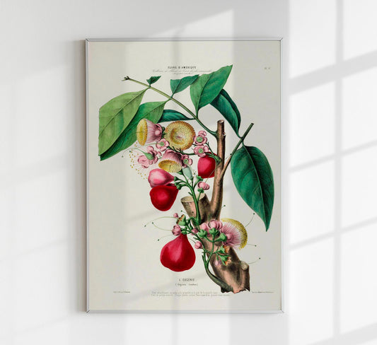 L'Eugenie Botanical Poster