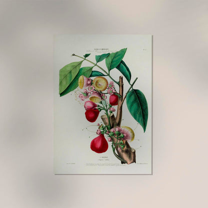 L'Eugenie Botanical Poster