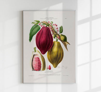 Le Chocolayer Botanical Poster