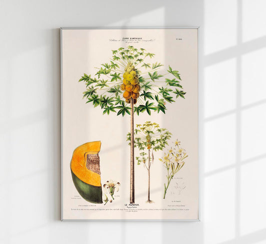 Le Papayer Botanical Poster