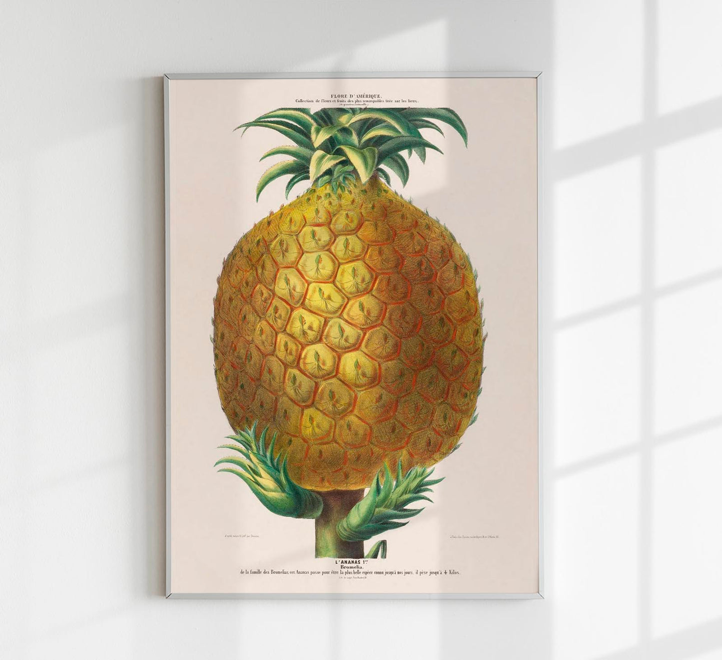 L'Ananas Botanical Poster