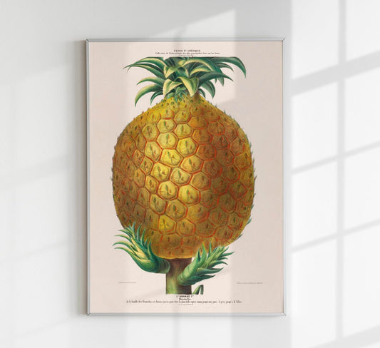 L'Ananas Botanical Poster