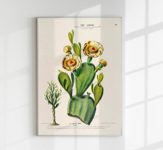 Le Cactier Nopal Botanical Poster