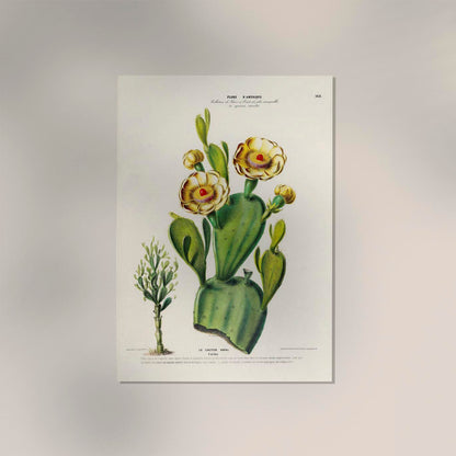 Le Cactier Nopal Botanical Poster