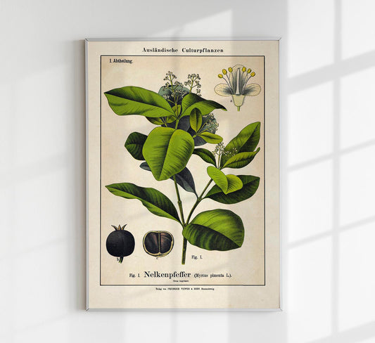 Clove Plant Poster