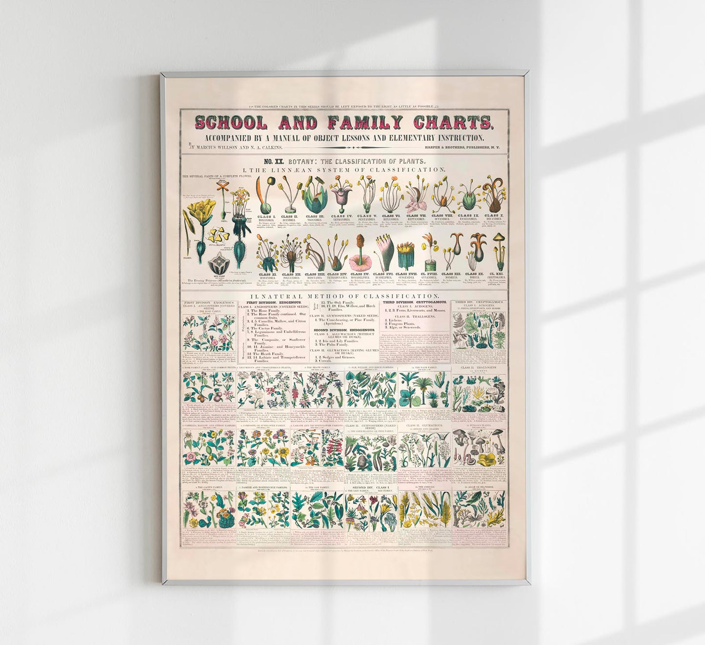 School and Family Chart Flowers