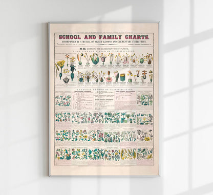 School and Family Chart Flowers