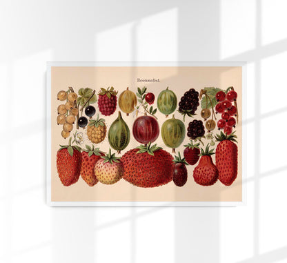 Fruit Berries Chart