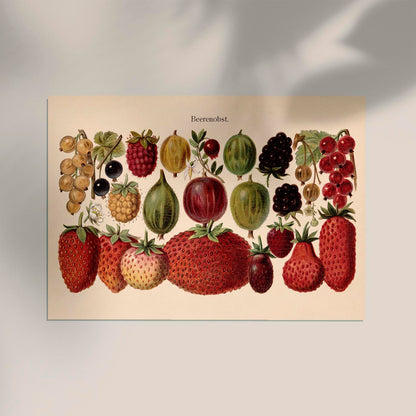 Fruit Berries Chart