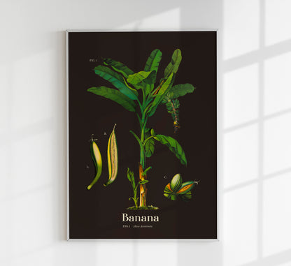 Banana Botanical Poster