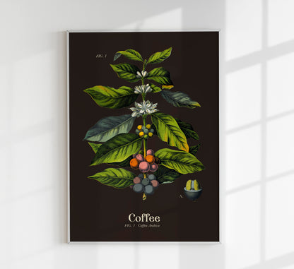 Coffee Dark Set of 2 Prints