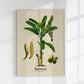 Banana Botanical Light Poster