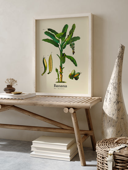 Banana Botanical Light Poster