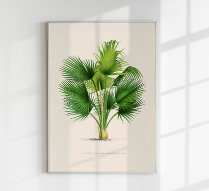 Thrinax Poster