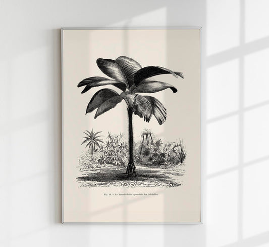 Seychelles Tree Poster