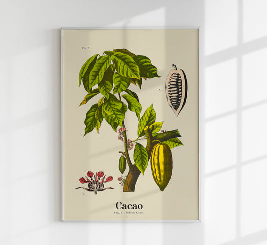 Cacao Botanical Light Poster