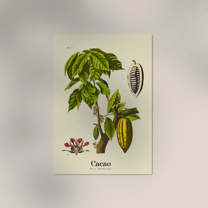 Cacao Botanical Light Poster