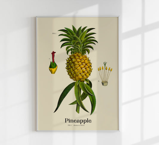 Pineapple Botanical Light Poster