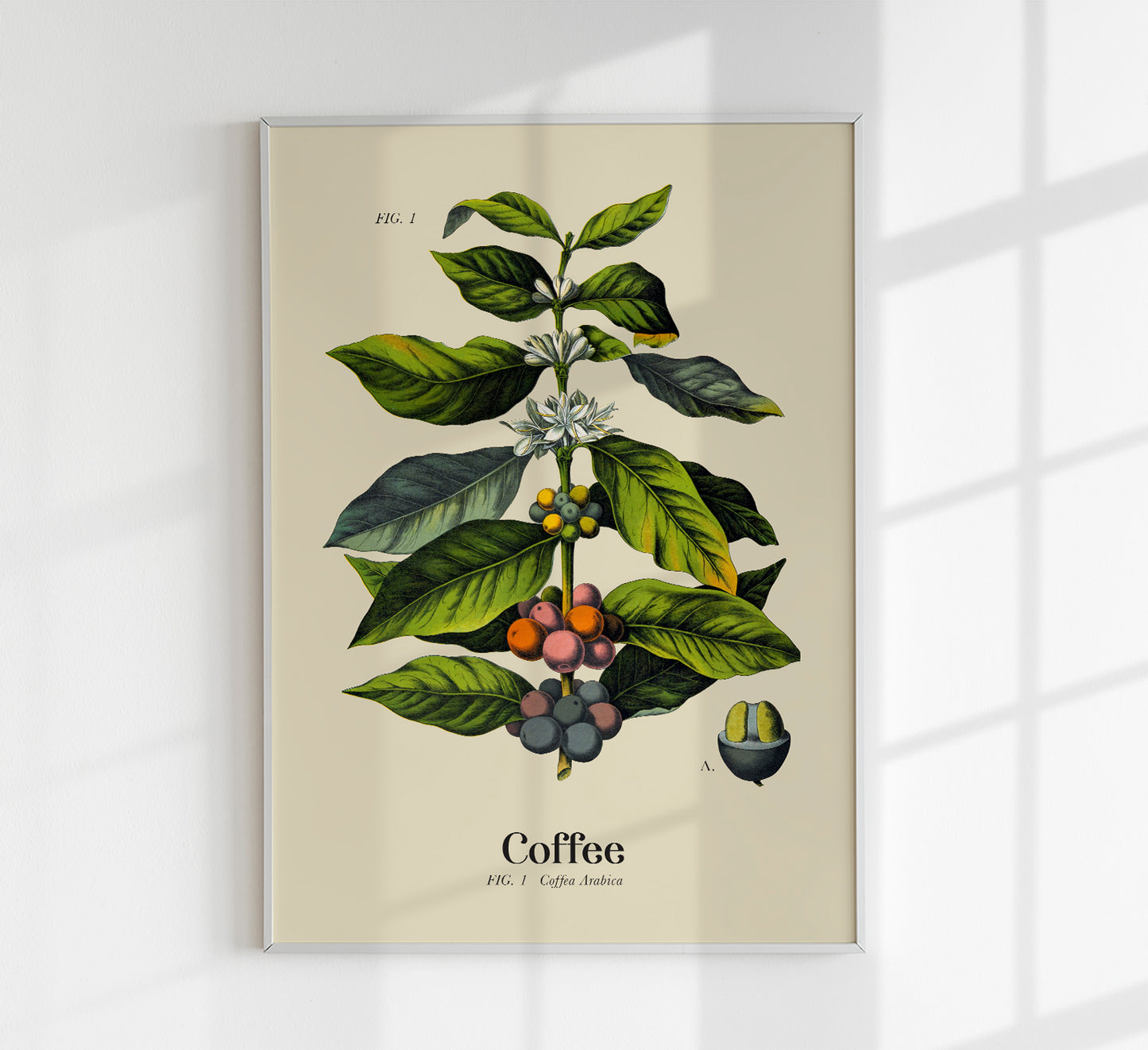 Coffee Light Set of 2 Prints